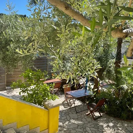 Pjacal Guest house 3*